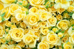 totalcare_img001